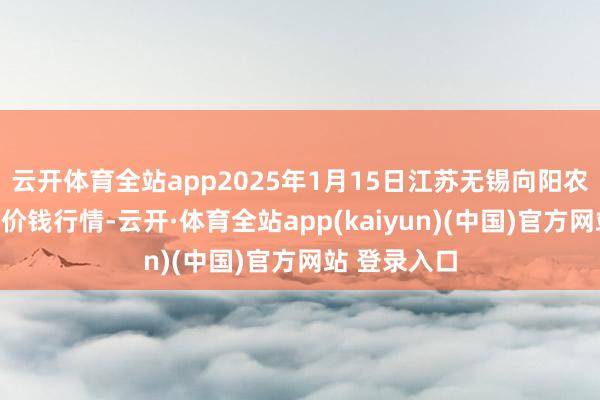 云开体育全站app2025年1月15日江苏无锡向阳农居品大市集价钱行情-云开·体育全站app(kaiyun)(中国)官方网站 登录入口