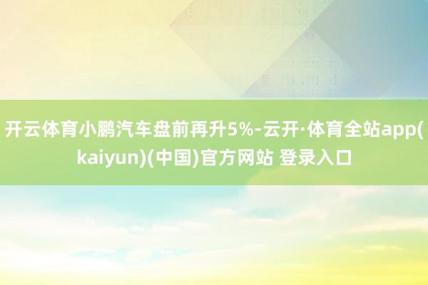 开云体育小鹏汽车盘前再升5%-云开·体育全站app(kaiyun)(中国)官方网站 登录入口